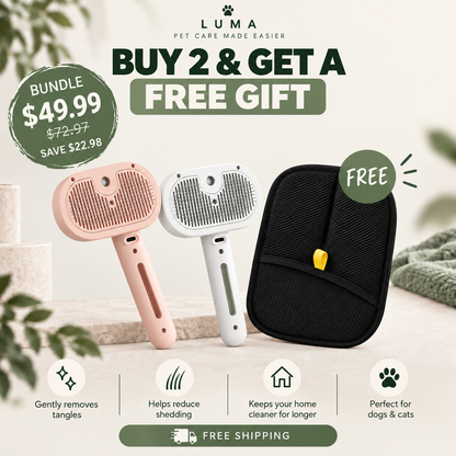 Luma 3-in-1 Mist Grooming Brush